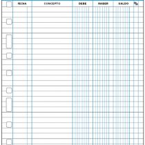 Finocam 4175204 Refill, 50 Sheets, 90 g, Accounts, 11 Holes, Units Contained: 1