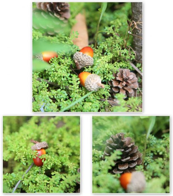 Gino Total 120 Pcs Artificial Acorns and Natural Pinecones Ornament Set for Home House Christmas Decoration Photo props - Image 4