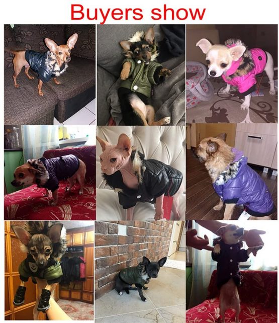 Balai Small Dog Faux Hoodie Thick Jacket Pet Puppy Waterproof Warm Coat Clothes for Small Breed Dog Like Chihuahua (Tag XS: Chest:10.24", Back: 6.30", Neck: 9.45", Green) - Image 2