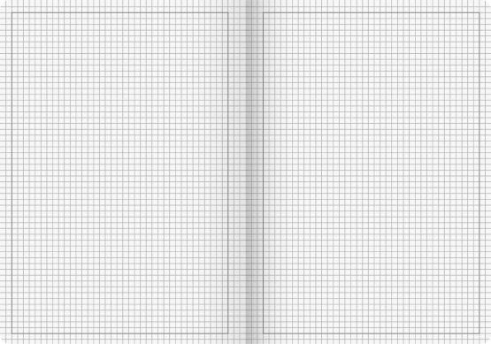 Brunnen Vivendi 104474002 School Notebook A4 16 Pages 5 mm Squared with Margin Ruled Exercise Book – 14 UK - Image 2