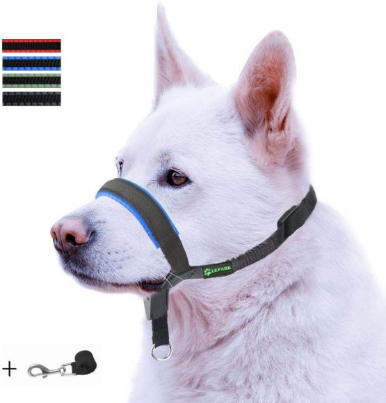 figure 8 head collar dog