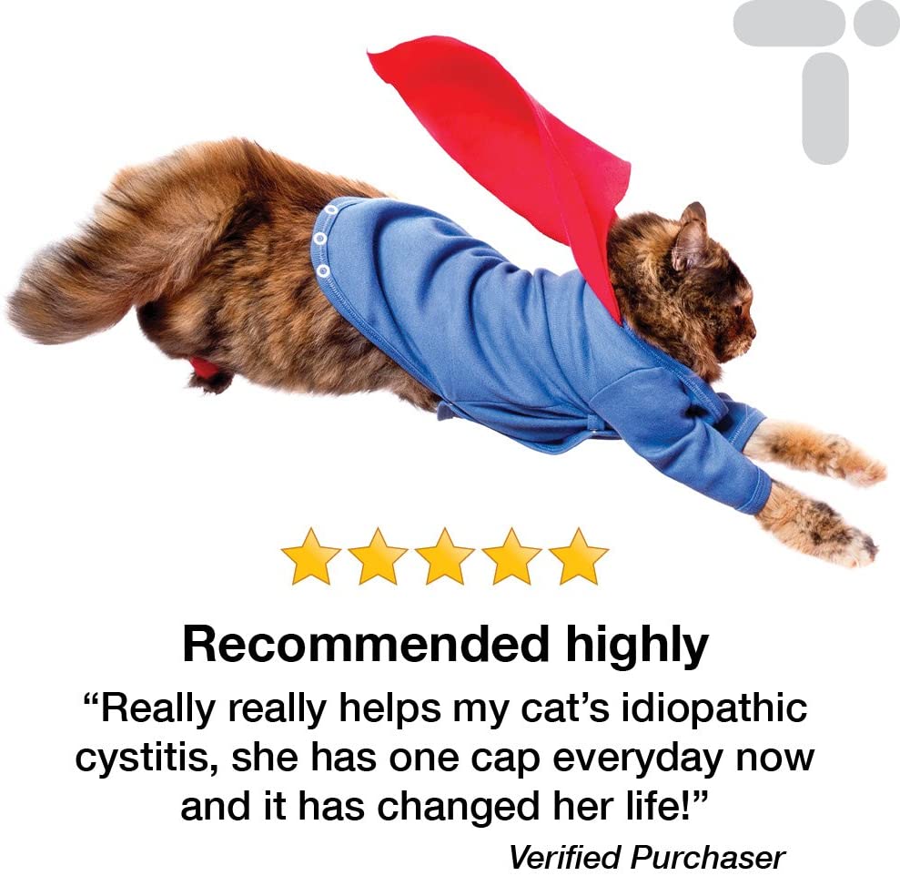 Cat Cystitis Care, Feline Urinary Tract Food Supplement Support, 90 Sprinkle On Capsules for Cats of All Ages Cystassist by Transforme - Image 3