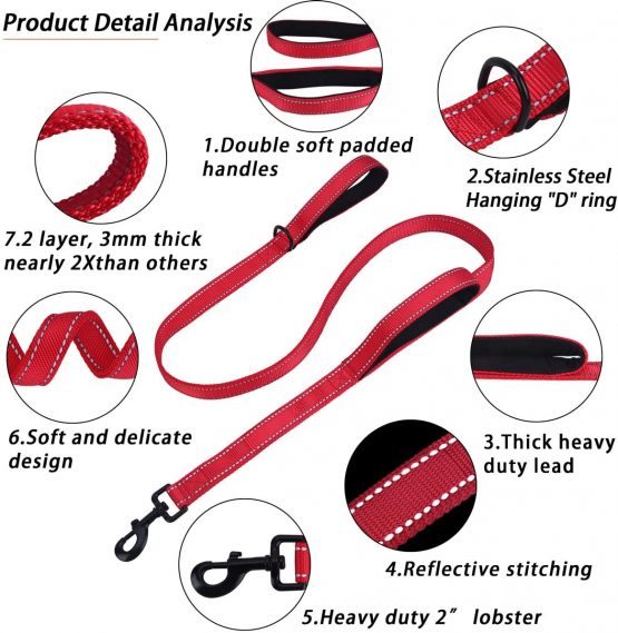 Belababy Medium Dog Leash, 5ft Double Handles Dog Lead, Heavy Duty Strong Nylon Reflective Dog Leash, 1.5m Leash Perfect for Large Medium or Small Dog - Image 2