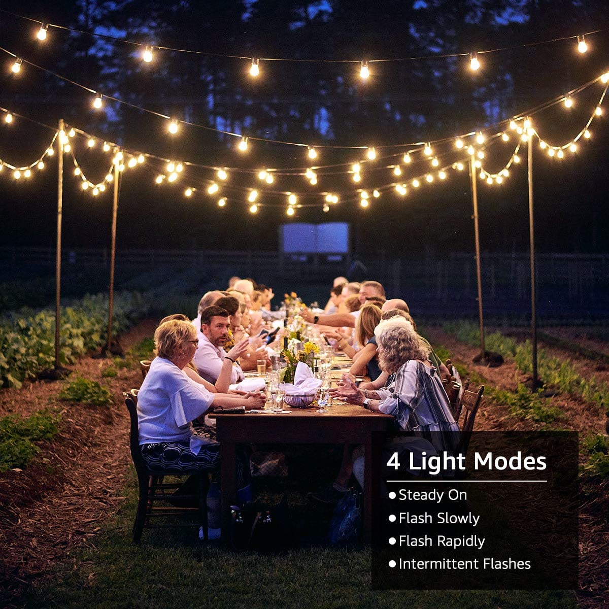 Lepro Solar Festoon Lights Outdoor, 25ft 25+1 G40 LED Bulb String Lights, 4 Modes, USB Rechargeable - Image 3