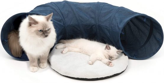 Catit 0022517419953 Toys for Cats, Blue, 1 Count (Pack of 1) - Image 2