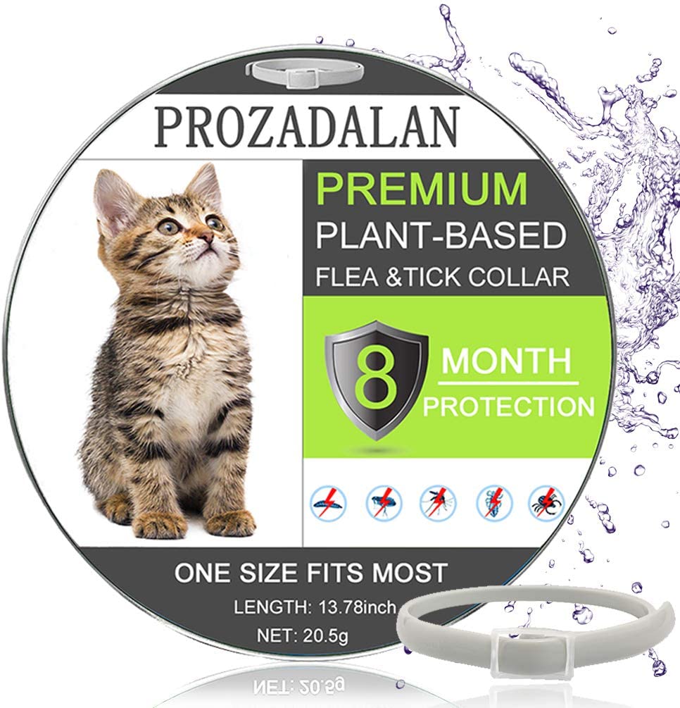 PROZADALAN Upgraded Cat Flea Collar, Cat Control Collar with Natural Essential Oils for 8 Months