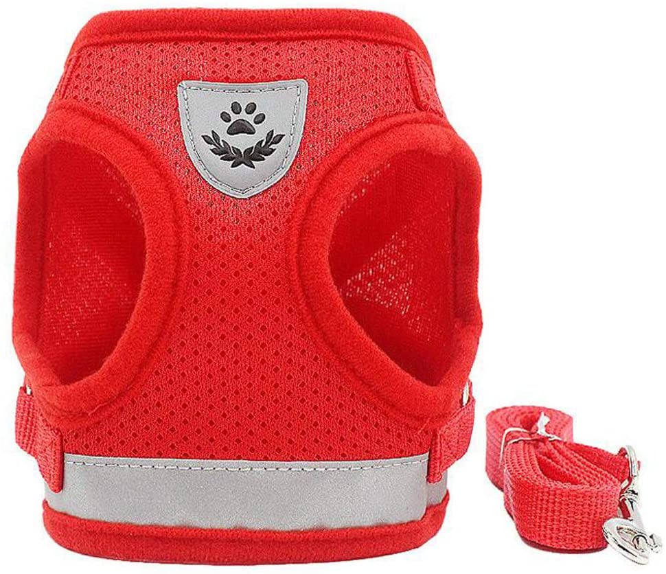 FEimaX Dog Harness and Leash Set - Image 2
