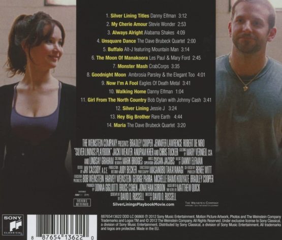 Silver Linings Playbook - Image 2