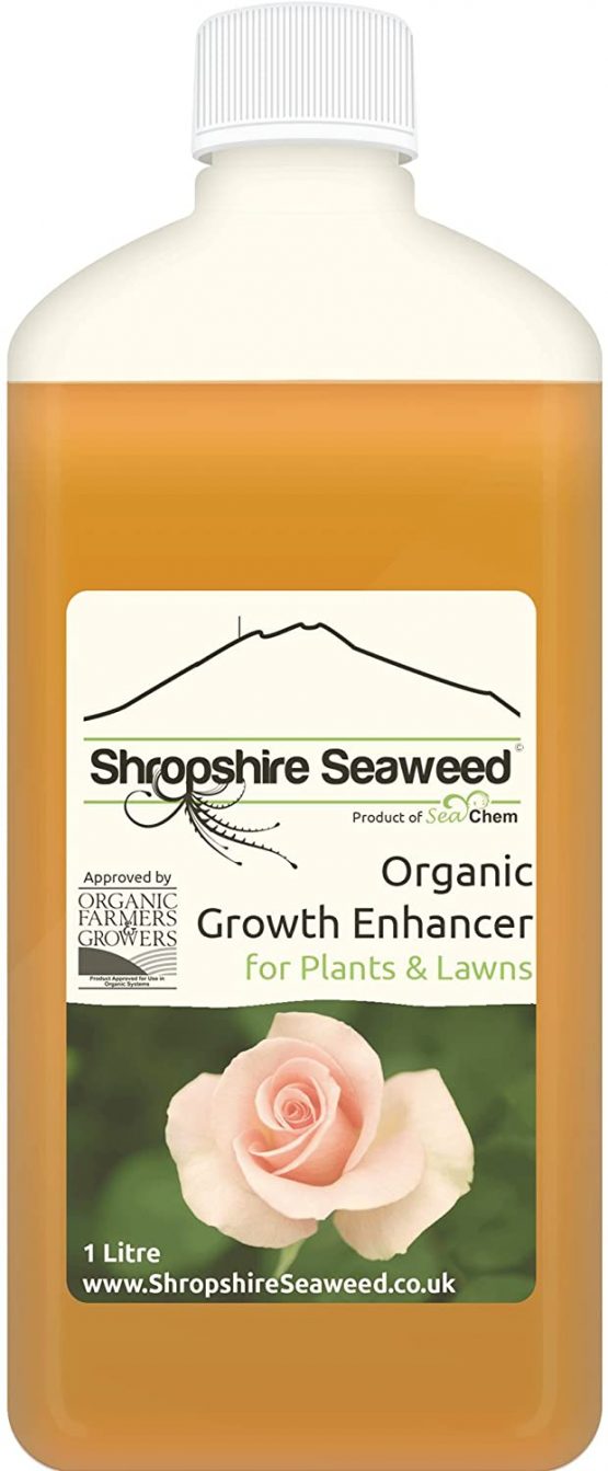 The Shropshire Seaweed Company Premium Organic Liquid Seaweed Fertilizer for Plants and Lawns (1L) - Image 2
