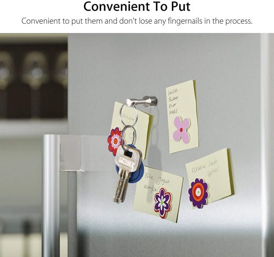 Linkstyle Metal Magnet Keychain, Magnetic Key Chains Holder with Split Ring Jewelry Test Magnet, Strong Pocket Keyrings Hook for Women Men Metal Recyclers Hobbyists Collectors, 2 Pack - Image 2