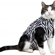 MPS Medical Pet Shirt Cat, Surgery Recovery Suit, Zebra-Print, XXXX-Small