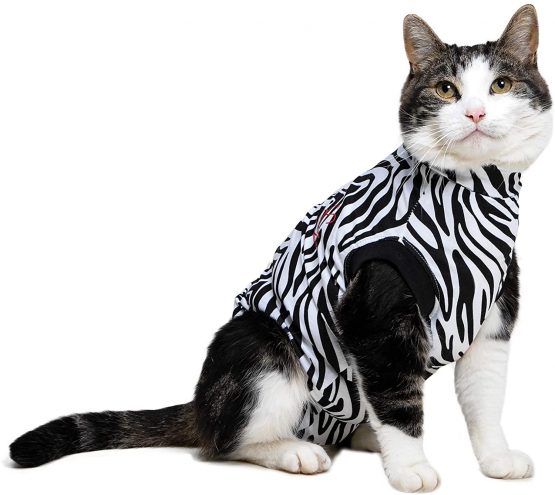 MPS Medical Pet Shirt Cat, Surgery Recovery Suit, Zebra-Print, Small