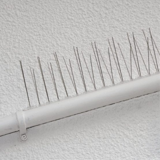 Pest-Stop PSPBS10 Professional Bird Spikes - 10 Pack - 5 metres - Image 3