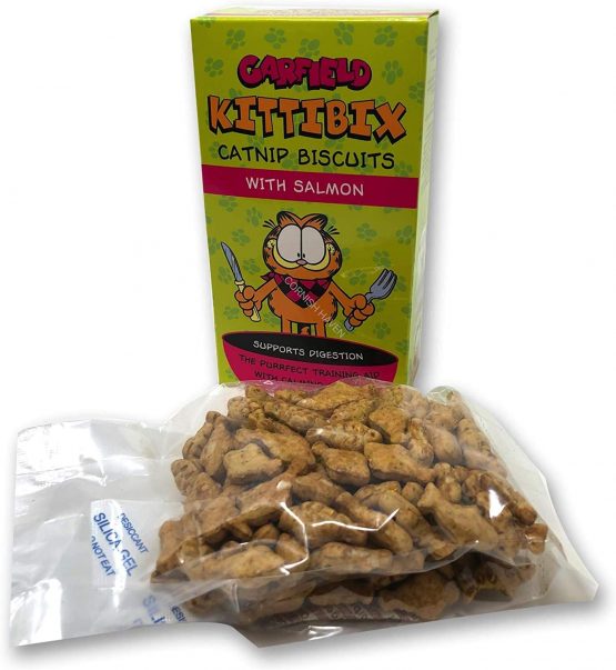 Garfield Kittibix catnip biscuits with Salmon