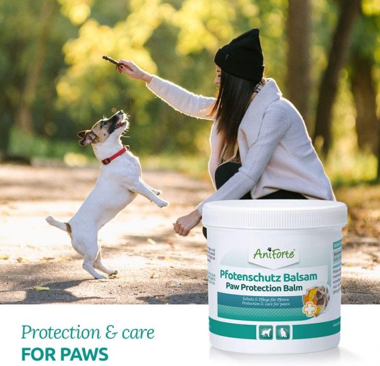 AniForte Paw Protection Balm for Dogs and Cats 120ml - Natural Cat & Dog Paw Balm Cream For Reliable Protection when there is Snow or Road Salt on the Ground - Image 2