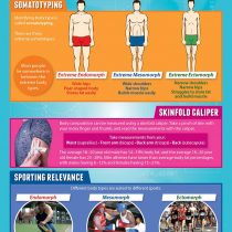Body Composition | PE Posters | Laminated Gloss Paper measuring 850mm x 594mm (A1) | Physical Education Charts for the Classroom | Education Charts by Daydream Education