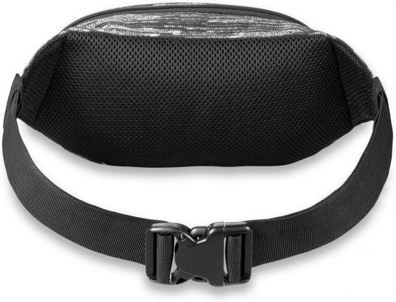 Dakine Hip Pack, Waist Pack with 2 Zippered Comparments, Sunglasses Storage - One Size Fanny Pack, Accessory, Unisex - Image 2