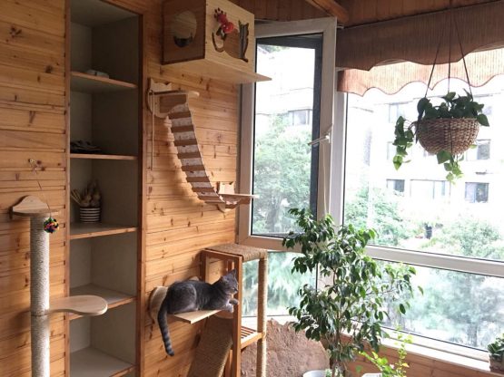 HC Wall Mounted Wooden Cat Tree with Climbing Step Shelves, Cat Perch Activity Centres Pet Play Furniture (Wooden) - Image 2