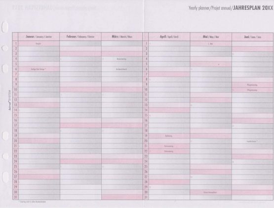 BIND B260220 – Calendar Insert for Manager Calendar A6 – Year 2020, 1 Week / 2 Pages, Diary with System - Image 3