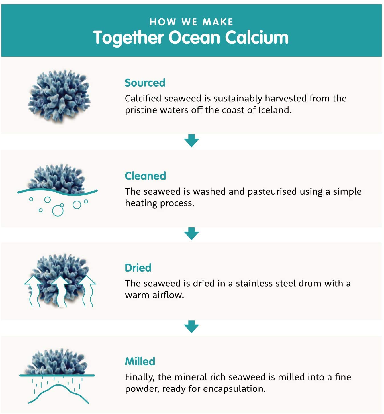 Calcium - Together Health - Seaweed-Based Calcium - 72 Trace Minerals - Vegan Friendly - Made in The UK - 60 Vegecaps - Image 3