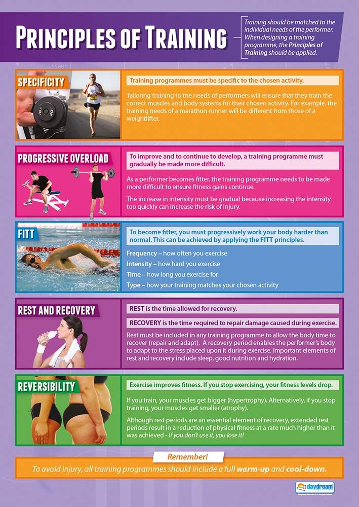Daydream Education Principles of Sports Training, Laminated, 85L x 59.7W cm