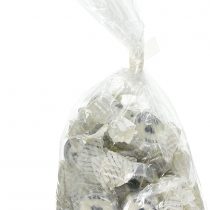 Neviti "Just Married" Rock Sweets, Silver