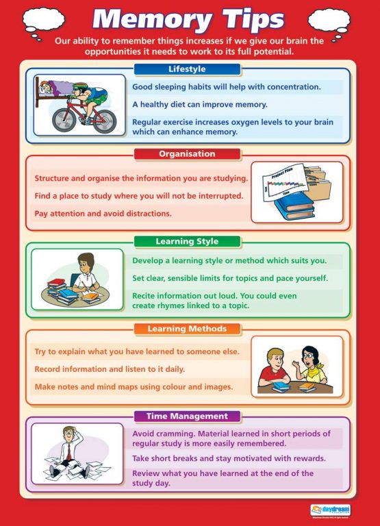 Memory Tips | Life Skills Posters | Laminated Gloss Paper measuring 850mm x 594mm (A1) | Functional Skills Classroom Posters | Education Charts by Daydream Education