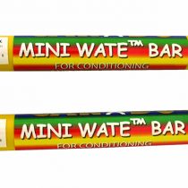 Cando 1lb - 0.45 Kg Mini Wate Bar Pair - alternative to dumbbells
