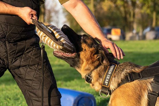 DINGO GEAR Reinforced Bite Pillow Handmade Wedge with 3 Handles for Dog Bite Training Soft Natural, Jute S00520 - Image 3
