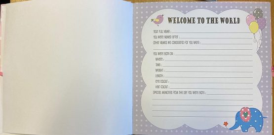 Baby's My First Year Record Log Book to Commemorate Birth Through Their First Year on Earth - White - Image 2