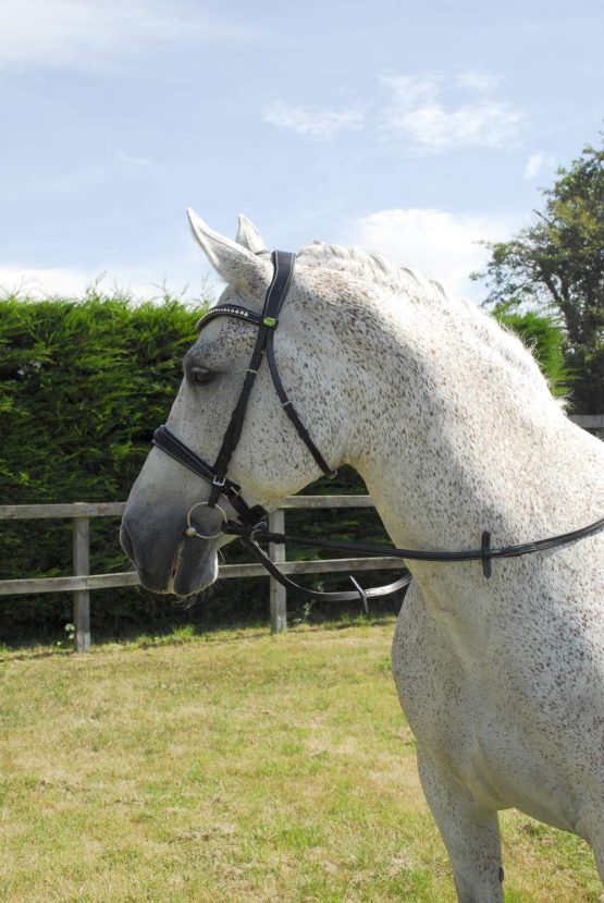 Rhinegold Anatomic Cavesson Bridle - Full - Havana - Image 2