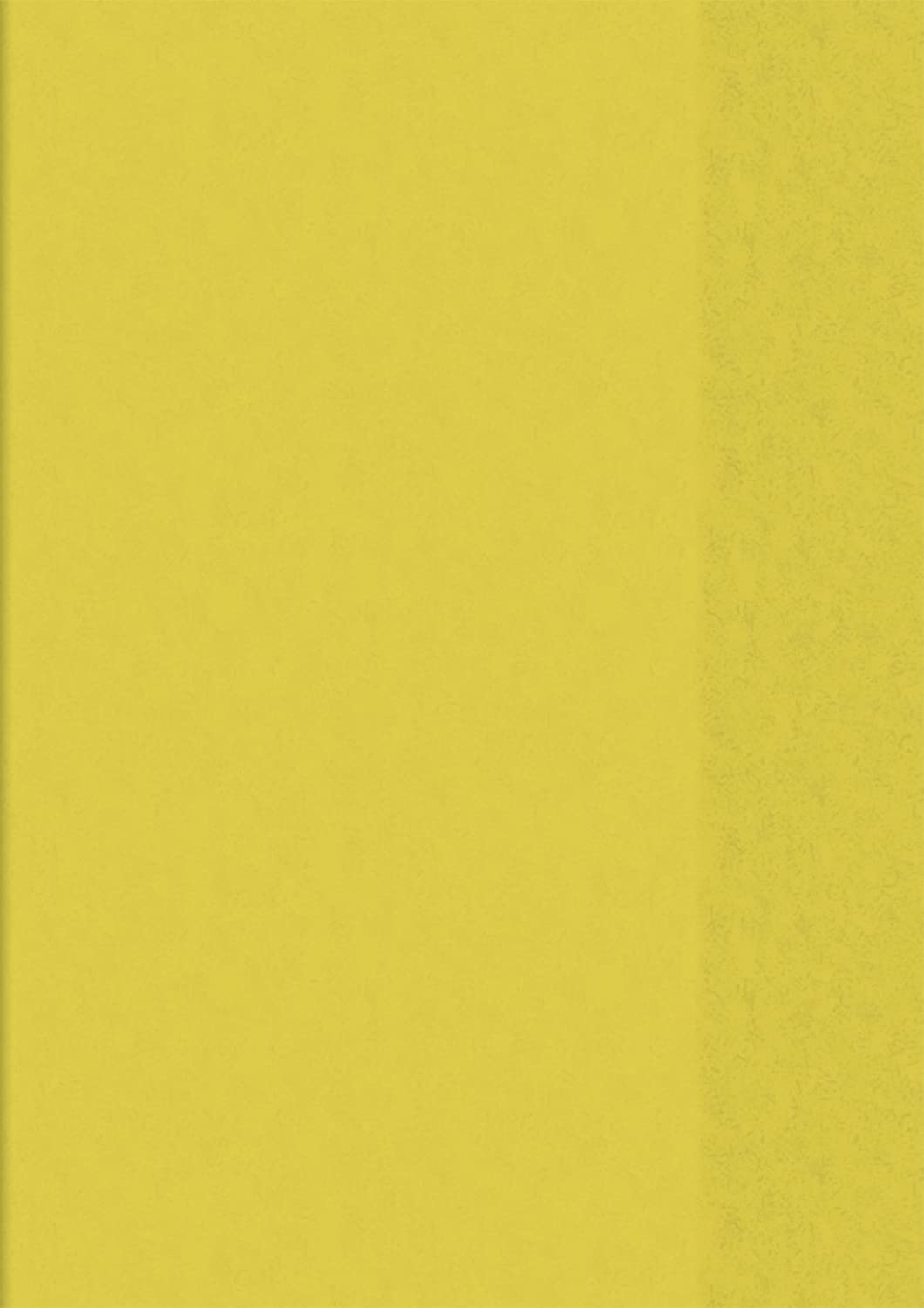 Baier Schneider Heftumschlag &Book Holder A5 15.5 x 8.7 CM, Yellow