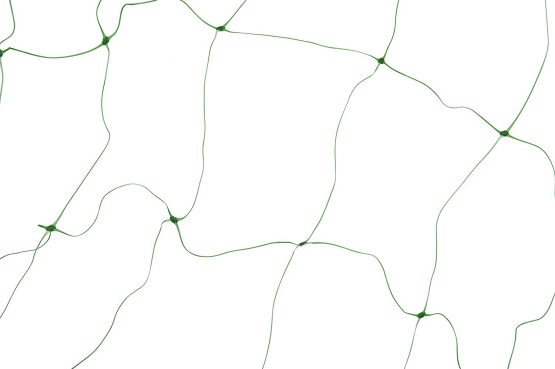 Windhager Climbing Plant Netting, 2 x 5 m - Image 2