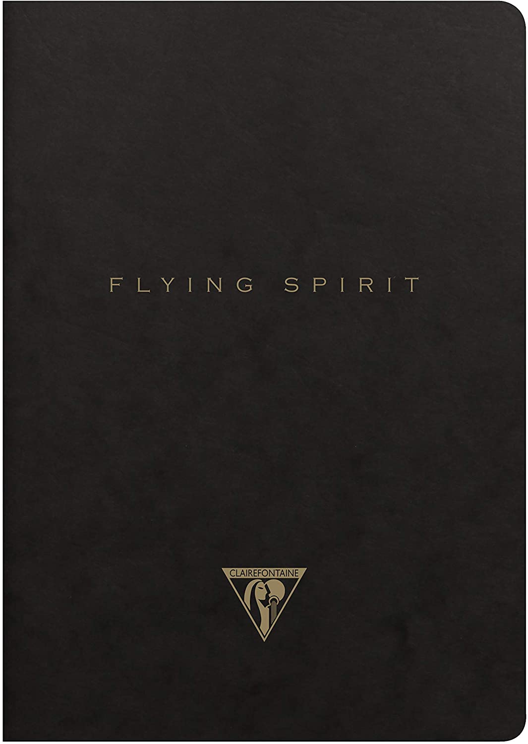 Clairefontaine 102536C, A pack of 5 Flying Spirit thread-stitched notebooks 96 ivory pages 14.8x21 cm 90g lined