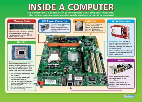 Inside a Computer | ICT Posters | Gloss Paper measuring 850mm x 594mm (A1) | Computing Charts for the Classroom | Education Charts by Daydream Education