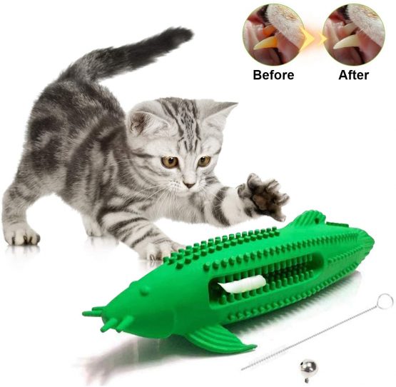 kitten chew toys for teething