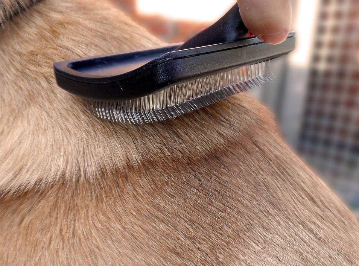 Masterclip Flat Head Hard Pin Slicker Brush - Suitable For Grooming Medium Sized Dogs & Pets (MEDIUM), Blue & Silver - Image 2