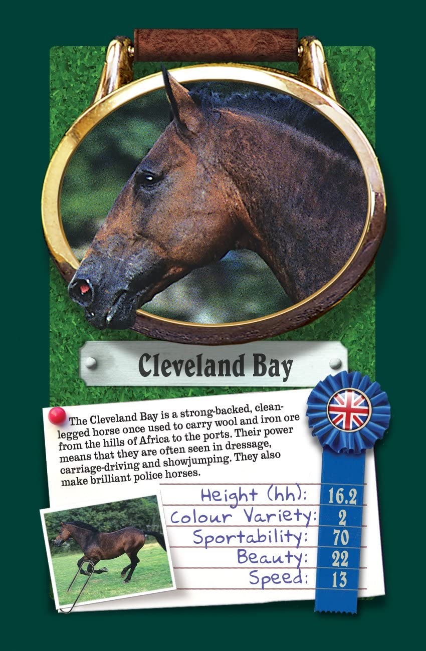 Top Trumps Horses & Ponies Card Game, Green, Medium - Image 3