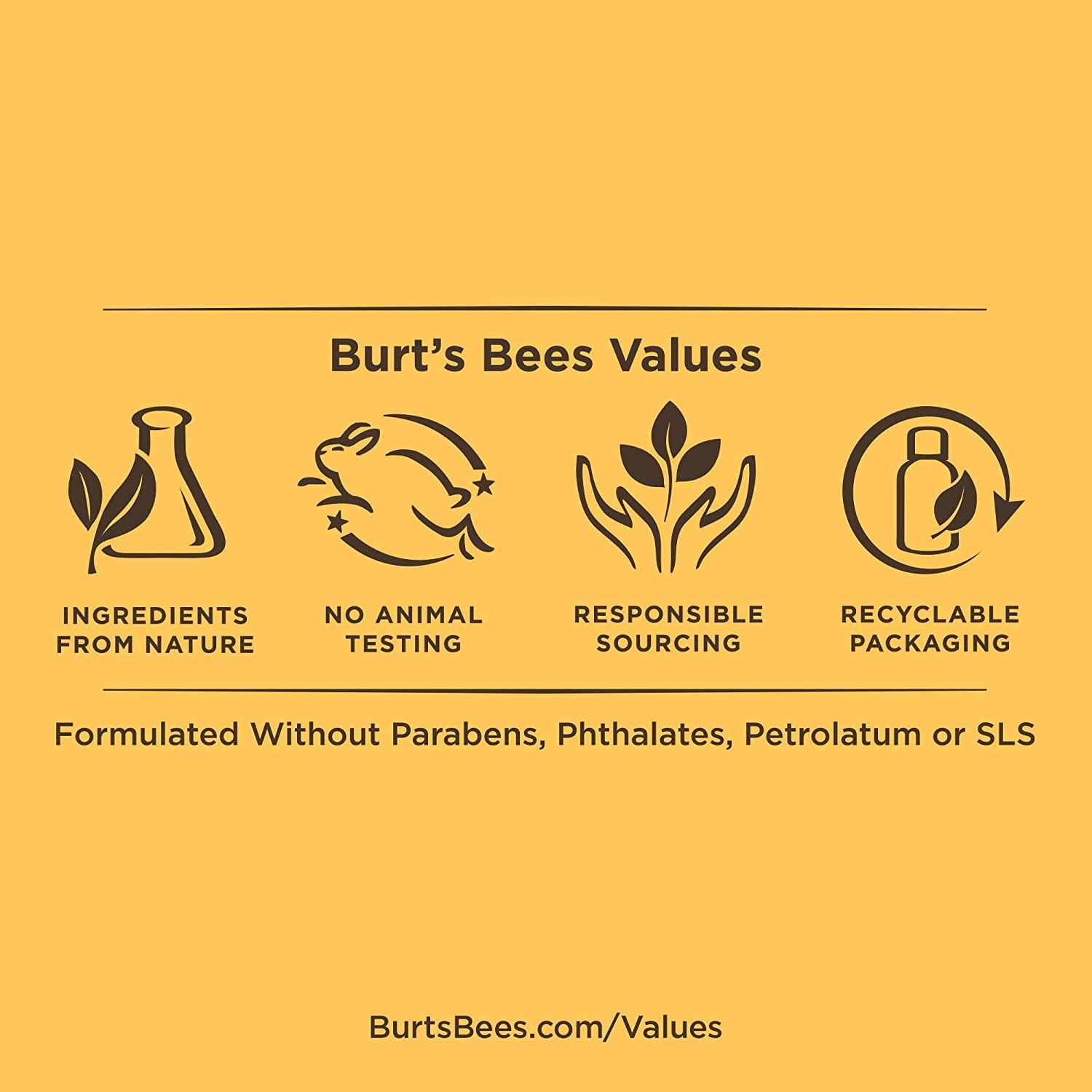 Burt's Bees Hand Salve 3 oz Tin, 85 g (Pack of 1) - Image 4