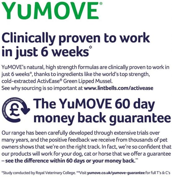 Lintbells | YuMOVE Senior Dog | High Strength Hip and Joint Supplement Designed for Older, Stiff Dogs, with Glucosamine, Chondroitin, Green Lipped Mussel | Aged 9+ | 240 Tablets - Image 4