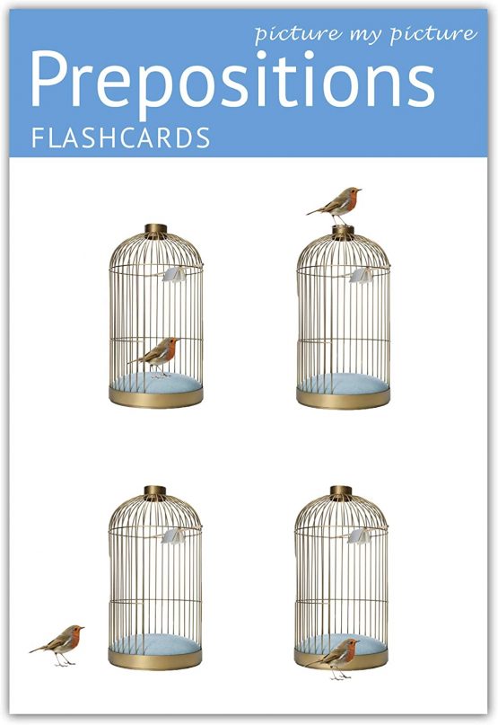 Picture My Picture Prepositions Flash Cards | 40 Positional Language Development Educational Photo Cards | Speech Therapy Materials, ESL Materials