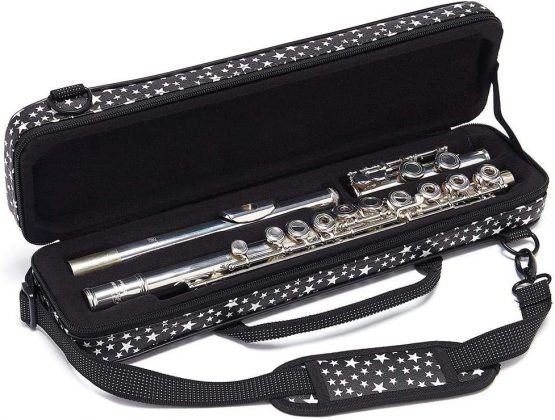 Flute Case - Beaumont C-Foot Flute Case- Lightweight Canvas - Starry Night - Image 4