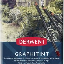 Derwent 700802 Graphitint Tinted Graphite Drawing Pencils, Watersoluble, Professional Quality,reySet of 12