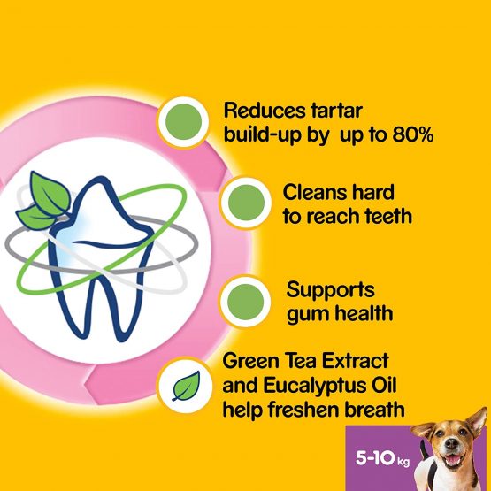 Pedigree Dentastix - Fresh Daily Dental Chews Small Dog, 70 Sticks - 10 x 110 g - Image 3