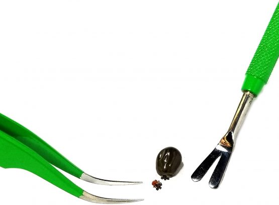 TickCheck Premium Tick Remover Kit (Stainless Steel Tick Remover with Tweezers, Leather Case and Pocket Tick Identification Card) - Image 3