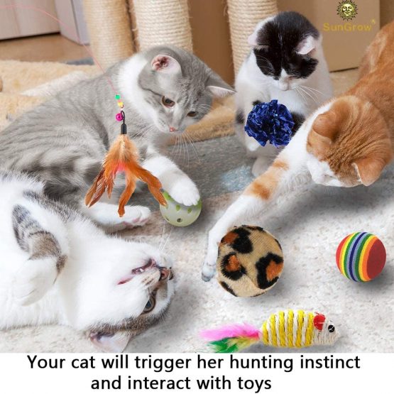 BETOY Cat Toys 21PCS Cat Interactive Toys Set Kitten Toys Including Cat Wand Cat Feather Cat Balls Fake Mice Rattle Cat Toys for Indoor Cats and Kitty - Image 4