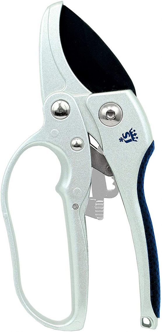 Spear and Jackson Razorsharp Ratchet Anvil Secateurs