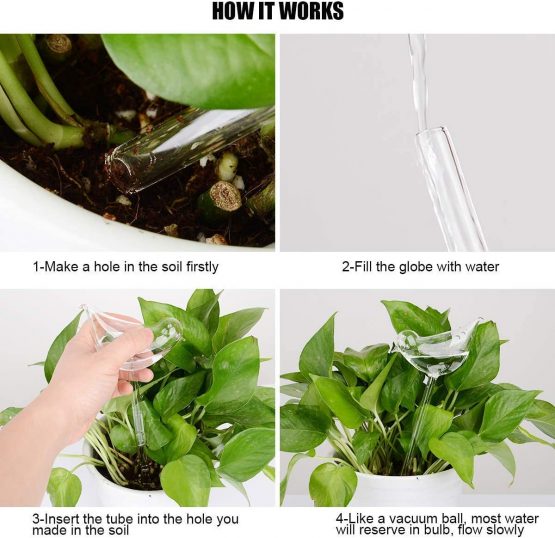 MSYU 3Pcs Self Watering Clear Glass Plant Automatic Watering Bulbs Mushroom Shape Design - Image 4