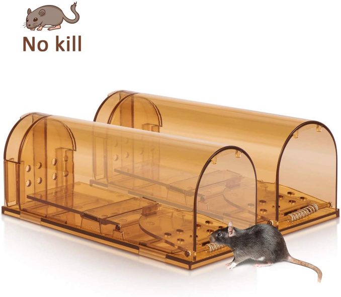 humane traps rodent catcher