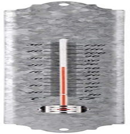 Fallen Fruits 30 cm Old Zinc Thermometer